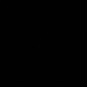 Meet your Posher, Rufus